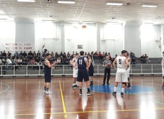 Lions, primo ruggito ai play off Maginot Siena battuta 76-66