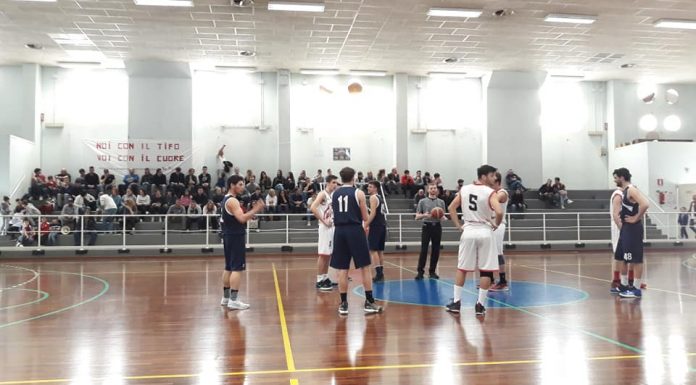 Lions, primo ruggito ai play off Maginot Siena battuta 76-66