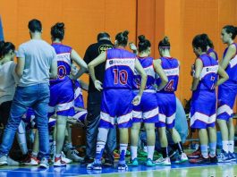 Playout serie B, Global Cargo ko: ora la è salvezza appesa a un filo