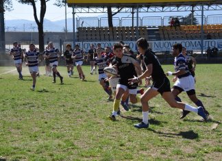 Cavalieri Union, l’under 16 sbanca le Sieci. L’Elite ko col Livorno