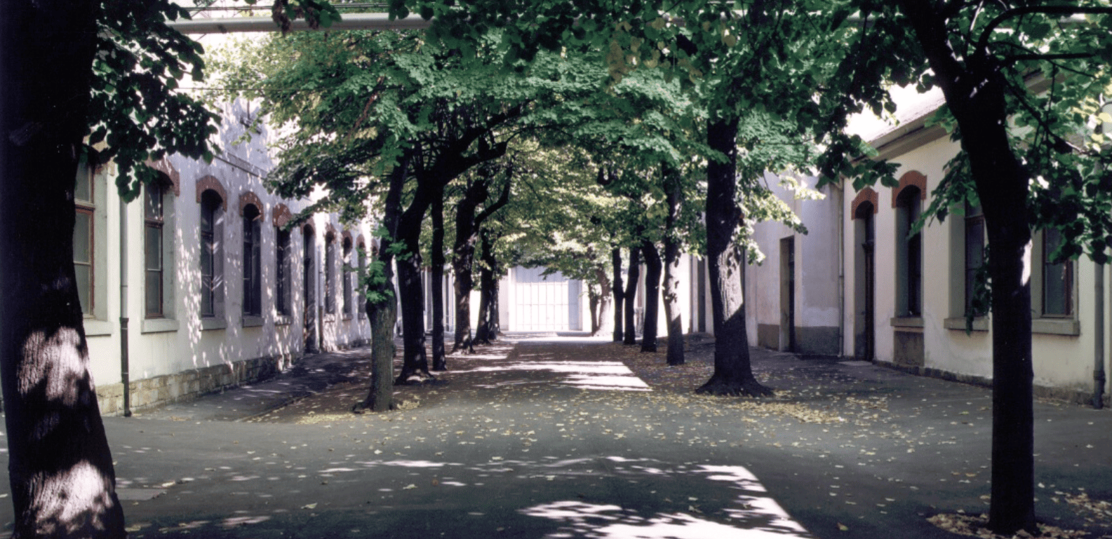 Screenshot 2025-11-17 095107