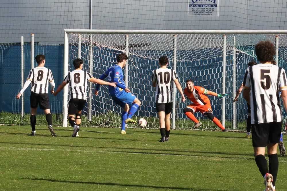 La Zenith Prato cerca un successo per rimettersi in marcia: domani l’anticipo con la Real Cerretese