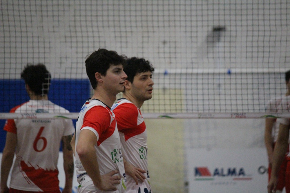 Nincheri Pontillo kabel