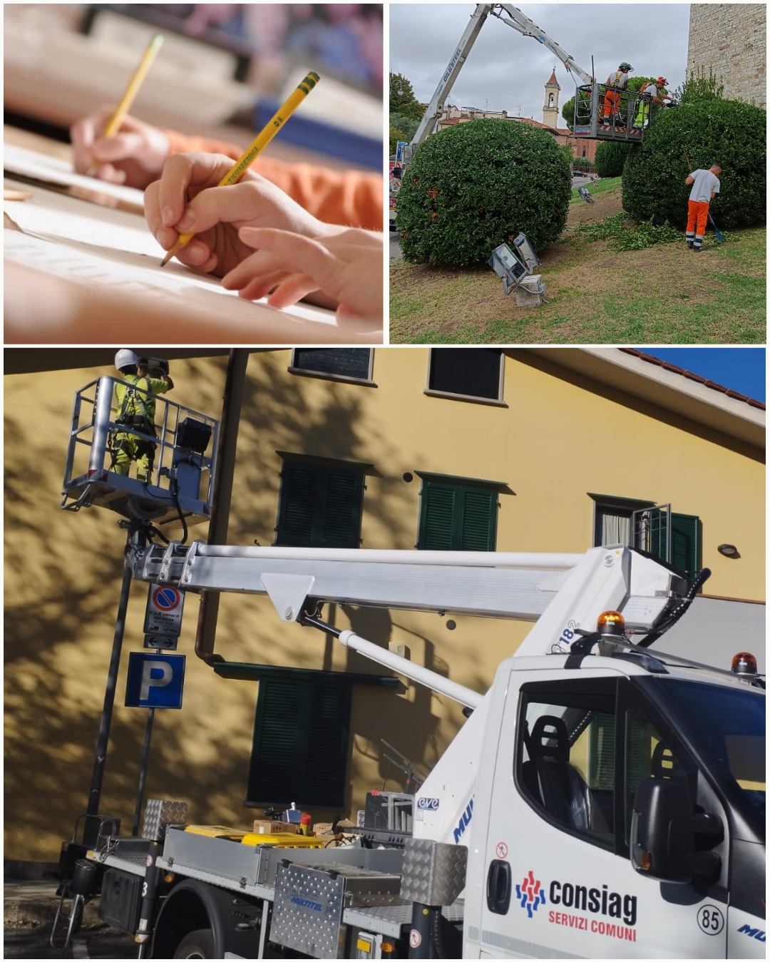 ricerca lavoro consiag servizi comuni